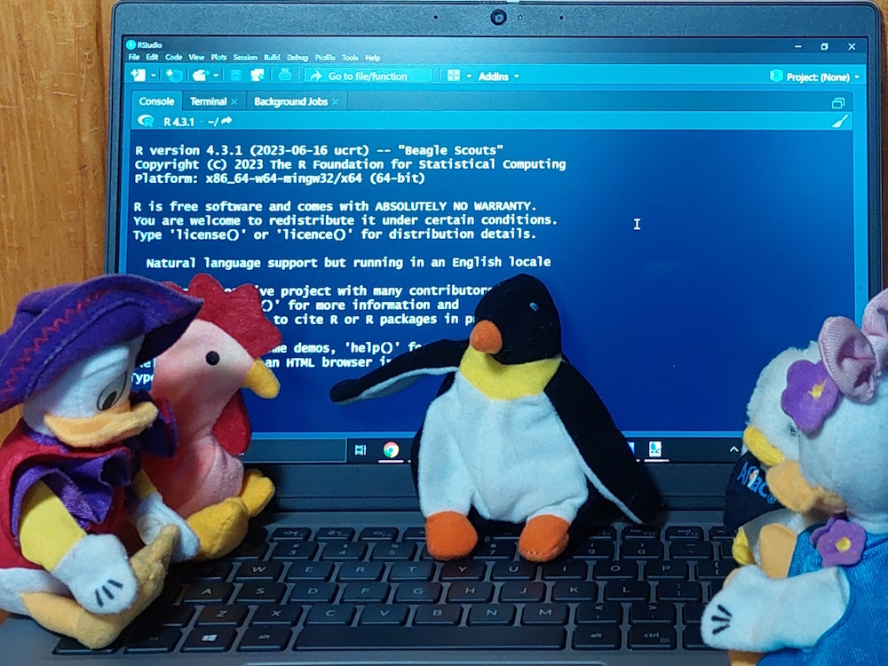 Photograph of Pierre the plush penguin pointing to RStudio on his laptop while his plush poultry friends watch