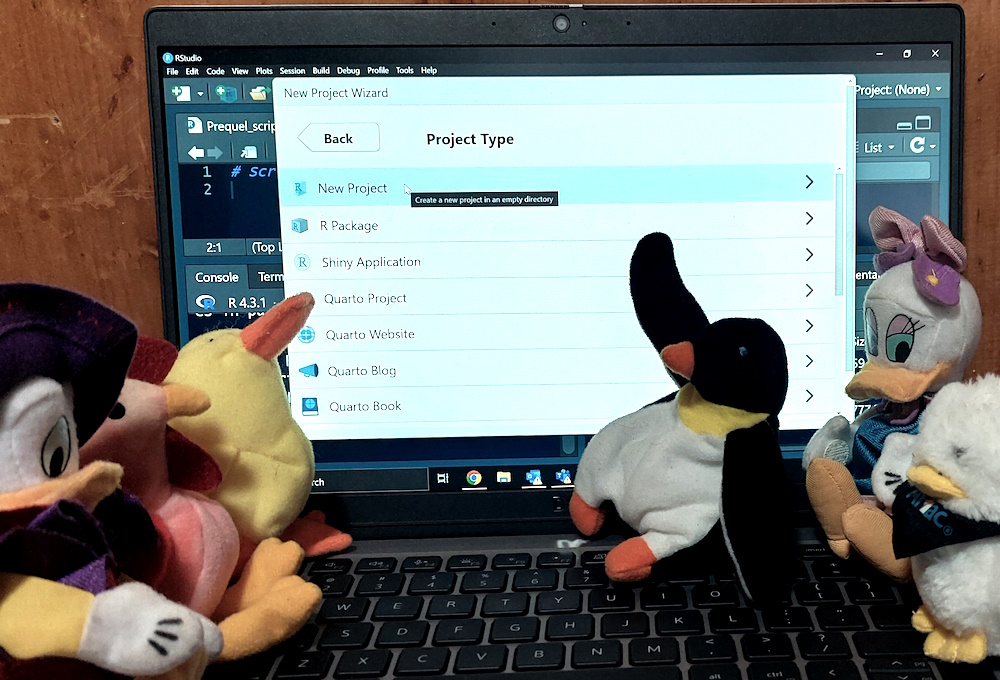 Photograph of Pierre the plush penguin pointing to the new project dialog in RStudio on his laptop while his plush poultry friends watch